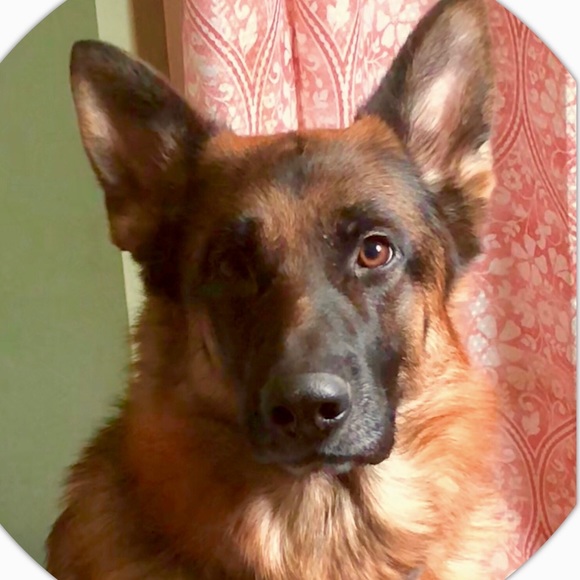 Women’s, Men’s, Children’s Clothing, Shoes & More! - Picture 4 of 7